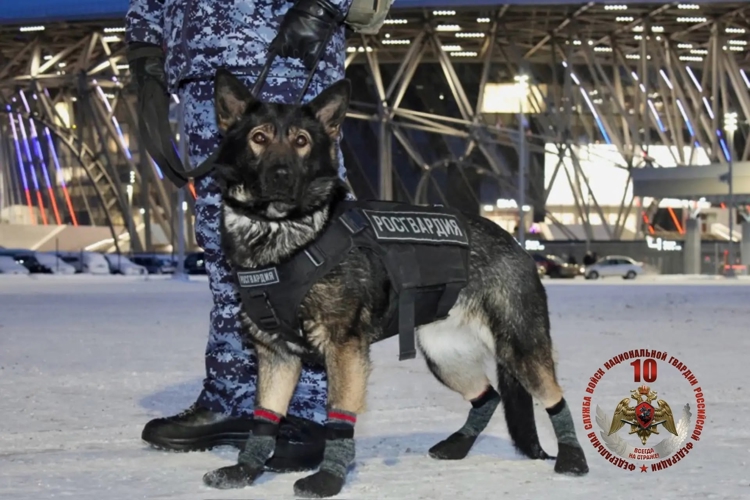 Сотрудники и военнослужащие Росгвардии обеспечили общественный порядок при проведении матча КХЛ