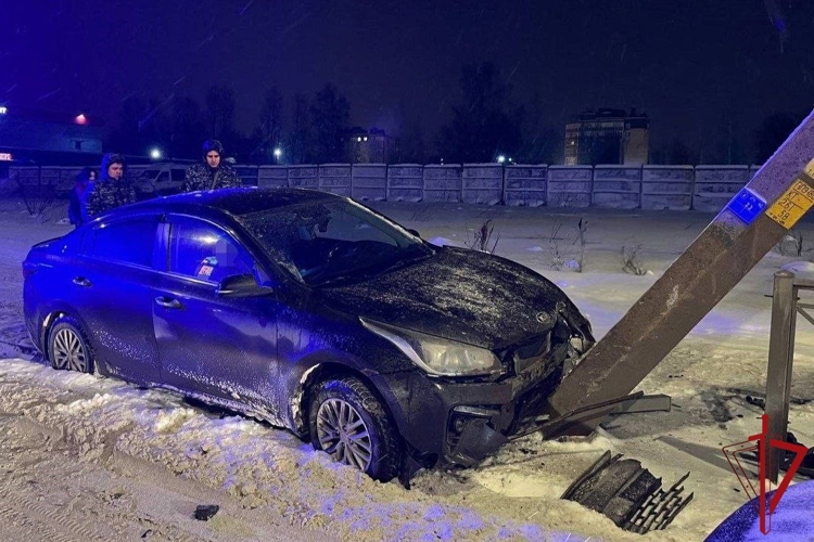 В Красногвардейском районе сотрудники Росгвардии задержали нетрезвого водителя автомобиля, врезавшегося в фонарный столб
