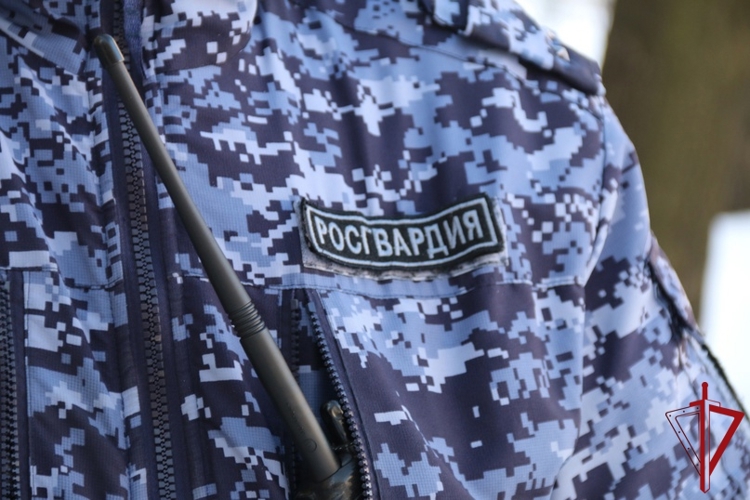 В Невском районе росгвардейцы задержали бывшего работника автосервиса, похитившего камеру видеонаблюдения