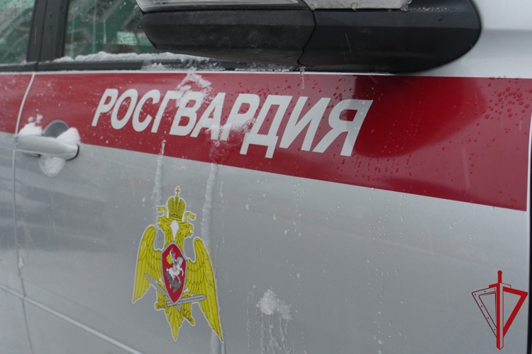 В Невском районе наряд Росгвардии задержал правонарушителя, избившего мужчину в приемном покое больницы