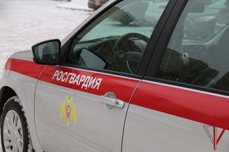 В Невском районе росгвардейцы разыскали девочку-подростка, не вернувшуюся домой после прогулки