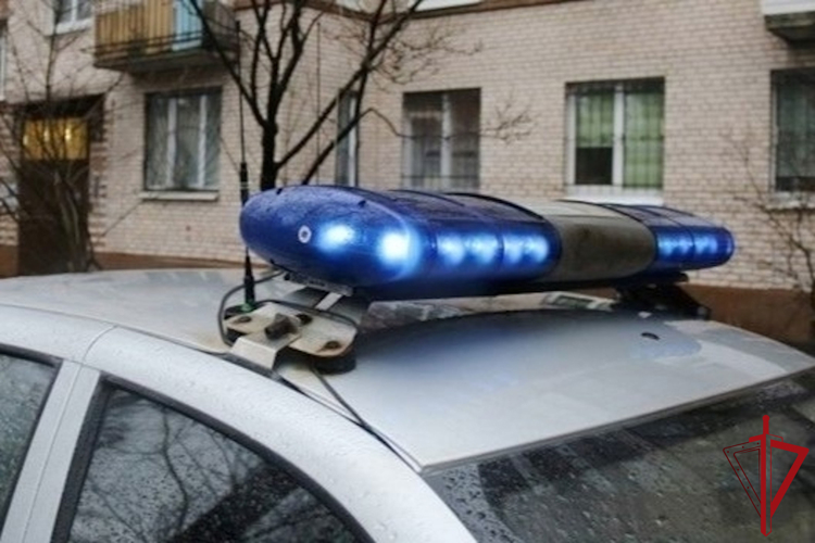 В Кировском районе Петербурга сотрудники Росгвардии спасли мужчину от падения из окна многоэтажки