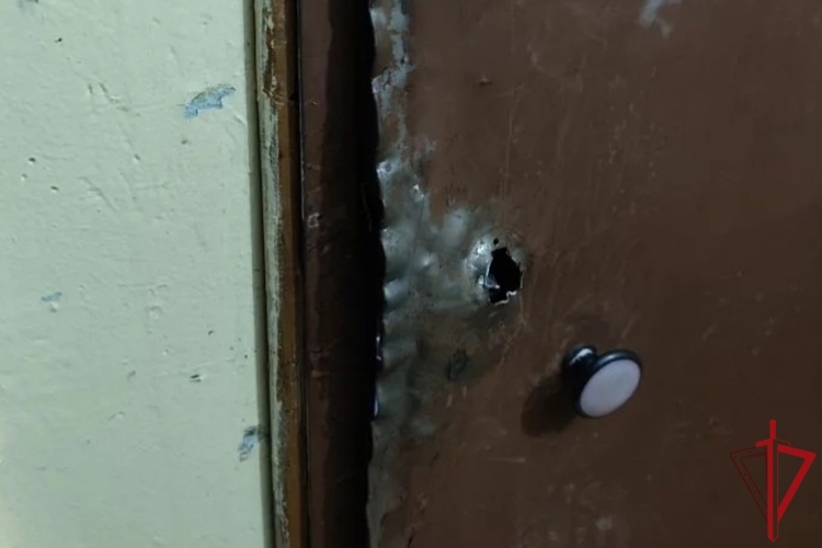 В Красногвардейском районе наряд Росгвардии задержал хулигана, повредившего молотком входную дверь соседней квартиры