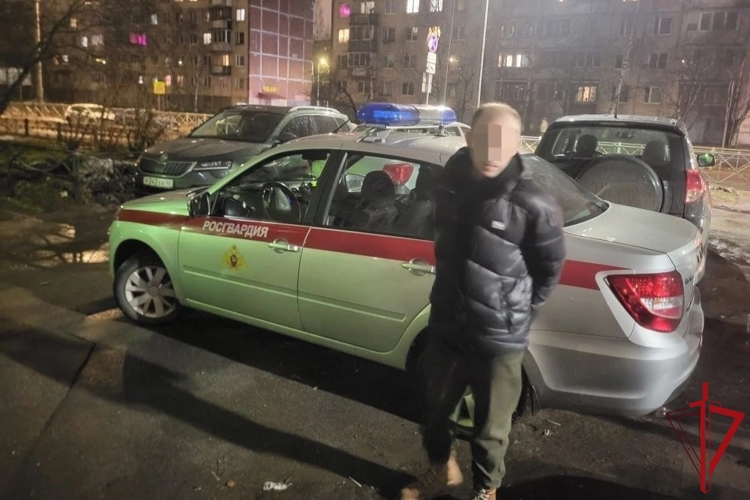 В Красногвардейском районе сотрудники Росгвардии задержали гражданина, находящегося в розыске