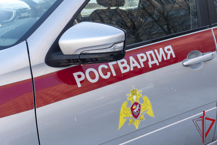 В Невском районе сотрудники Росгвардии обнаружили разыскиваемый автомобиль и задержали водителя, подозреваемого в мошенничестве