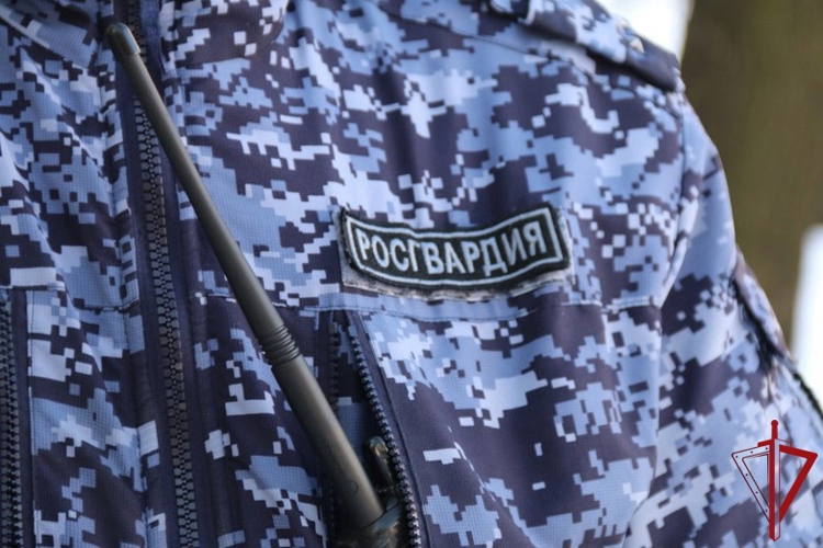 Во Фрунзенском районе росгвардейцы задержали правонарушителя, угрожавшего ножом персоналу и посетителям сетевого магазина-бара
