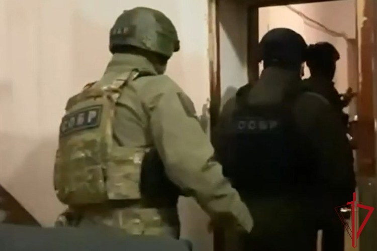 В Санкт-Петербурге при силовой поддержке СОБР Росгвардии задержаны сотрудники жилищных агентств, подозреваемые в мошенничестве