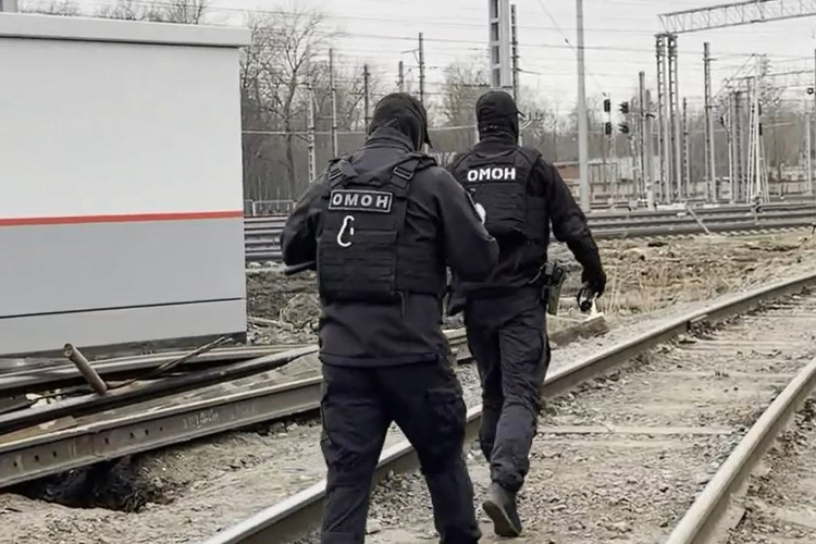 В Санкт-Петербурге при содействии сотрудников ОМОН Росгвардии прошла оперативно-профилактическая операция «Мигрант-2026»