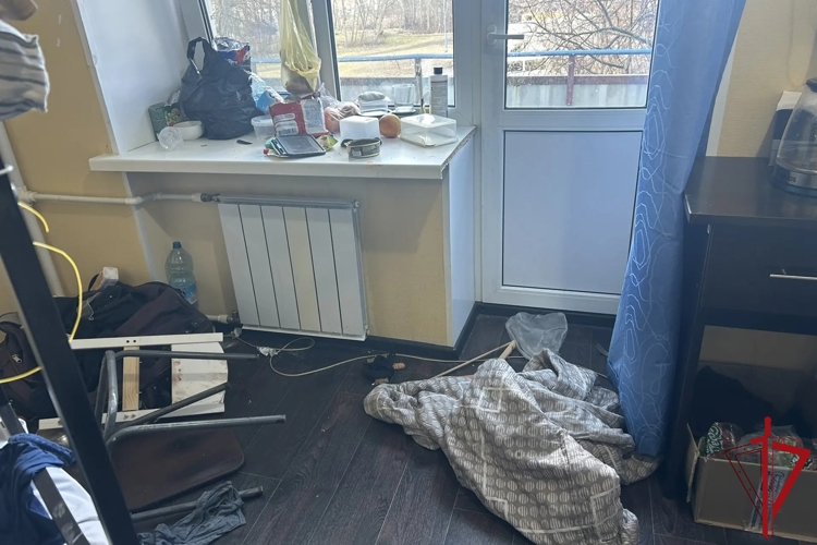 В поселке Репино сотрудники Росгвардии задержали дебоширов, повредивших имущество гостиницы и нанесших травму мужчине