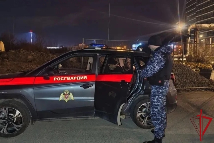 В Московском районе сотрудники Росгвардии задержали правонарушителя, имевшего при себе десятки свертков с синтетическим наркотиком