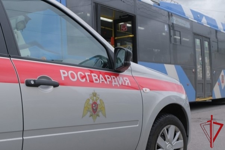 В Приморском районе наряд Росгвардии задержал зацеперов, катавшихся на троллейбусе