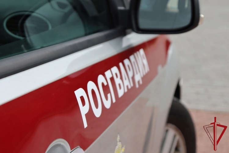 В Красногвардейском районе наряд Росгвардии задержал хулиганов, стрелявших из пневматического пистолета во дворе жилого дома