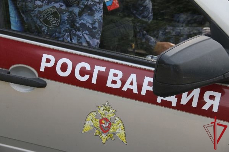 В одном из поселков Ленобласти росгвардейцы обнаружили малолетних сестер, которые гуляли одни и не могли самостоятельно вернуться домой