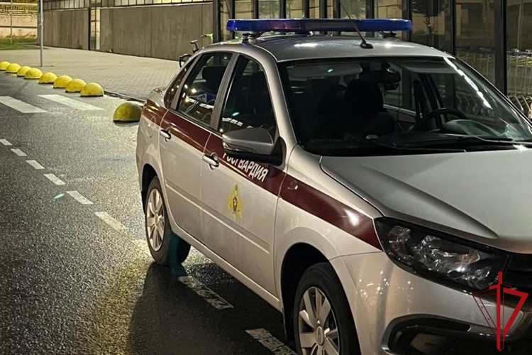 В Пушкине наряд Росгвардии задержал гражданина, имевшего при себе синтетический наркотик