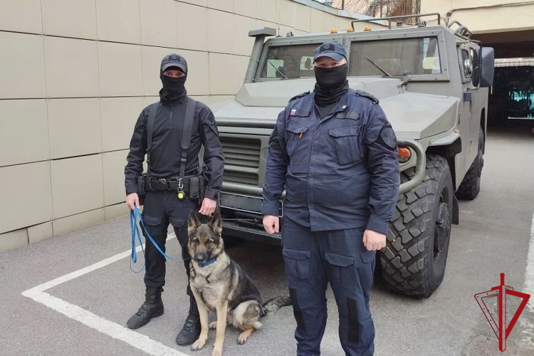 В Санкт-Петербурге сотрудники ОМОН Росгвардии пришли на помощь водителю мотороллера, пострадавшему в ДТП