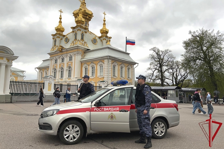В Петергофе сотрудники Росгвардии обеспечили безопасность на Весеннем празднике фонтанов