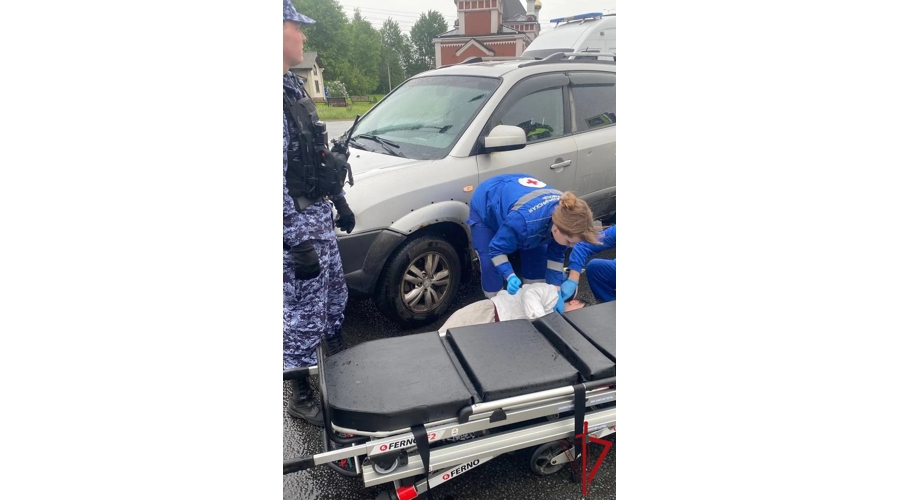 В Красногвардейском районе сотрудники Росгвардии оказали доврачебную помощь несовершеннолетней, пострадавшей в результате ДТП