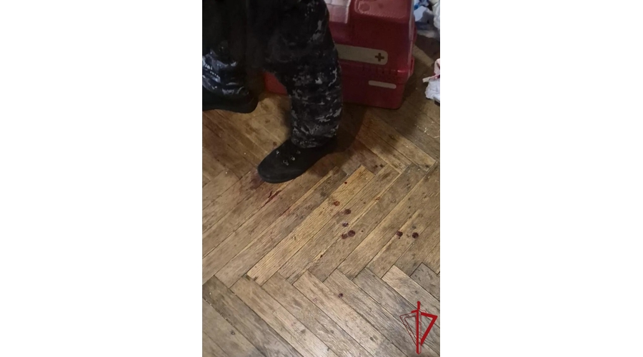 В Центральном районе наряд Росгвардии задержал жительницу коммунальной квартиры, ударившую ножом мужчину в ходе бытового конфликта