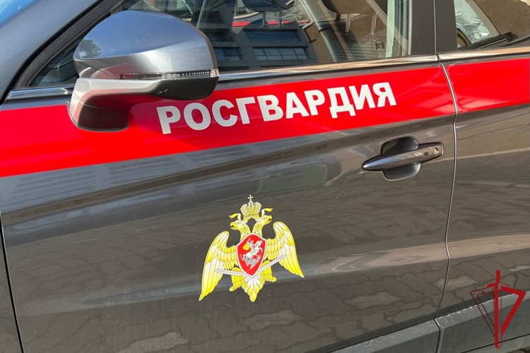 В Центральном районе сотрудники Росгвардии задержали правонарушителя, пытавшегося ударить отверткой работника магазина