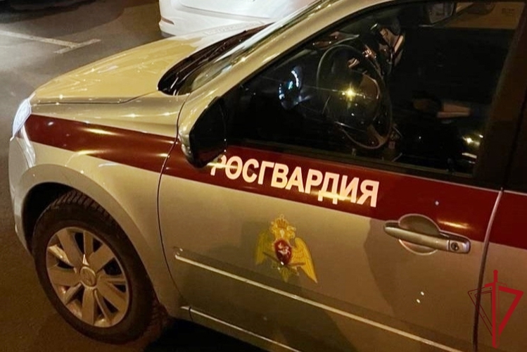 Во Фрунзенском районе наряд Росгвардии задержал хулигана, прыгавшего на капоте и крыше припаркованного автомобиля