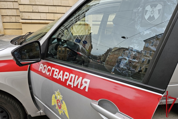 В Центральном районе сотрудники Росгвардии задержали хулигана, напавшего на прохожего, который заступился за девушку