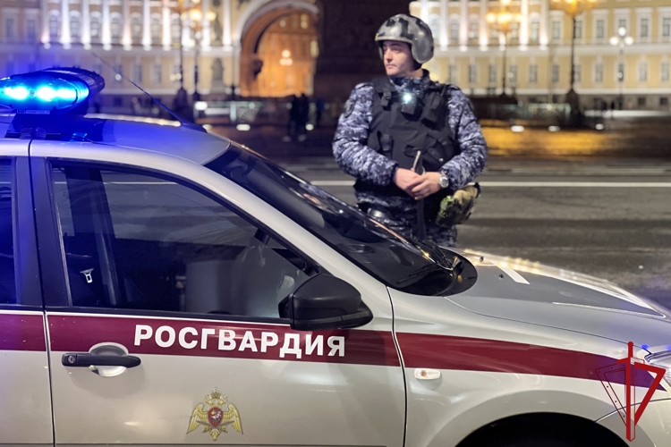 В Санкт-Петербурге сотрудники Росгвардии обеспечили безопасность во время проведения ежегодной акции «Ночь музеев»