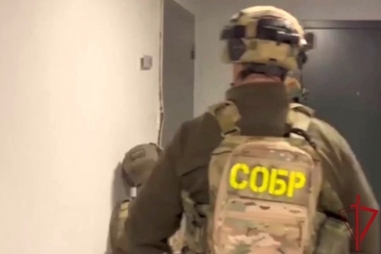 В Санкт-Петербурге при содействии СОБР Росгвардии пресечена деятельность преступной группы, торговавшей наркотиками 