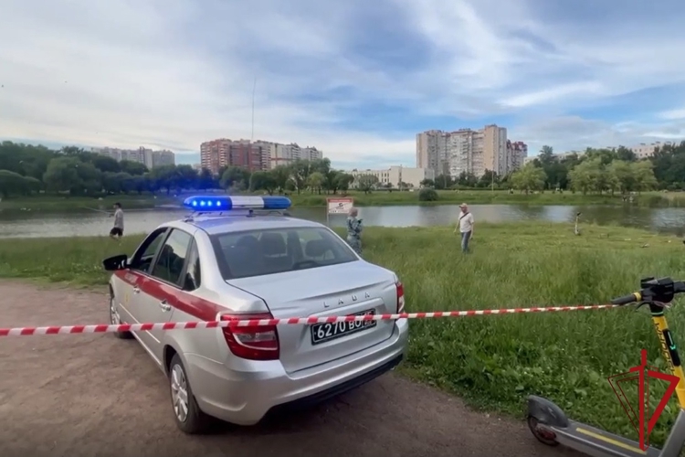 В Красногвардейском районе сотрудники Росгвардии задержали участника драки в городском парке