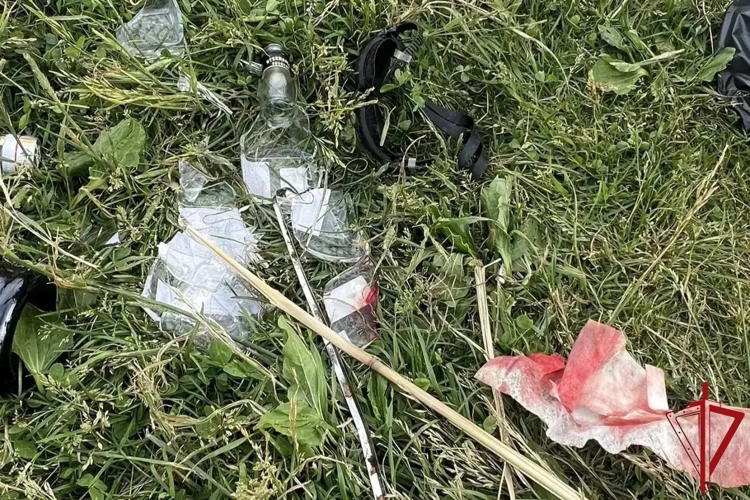 В Красногвардейском районе сотрудники Росгвардии задержали участника драки в городском парке