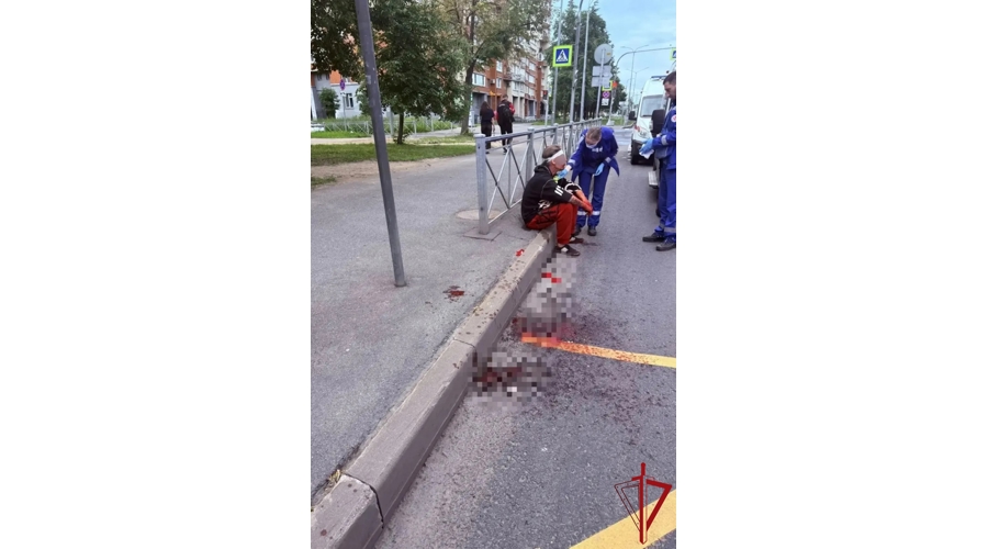 В Невском районе сотрудники Росгвардии задержали участников конфликта, один из которых получил резаную рану головы