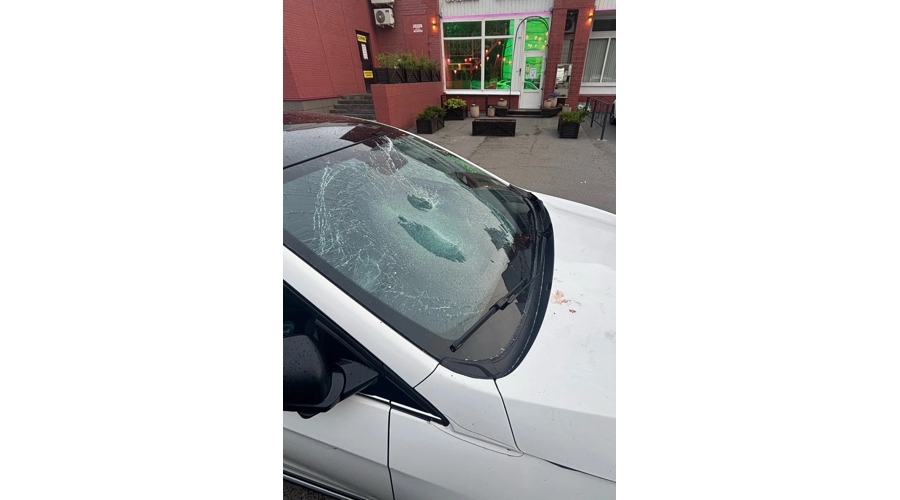 В Красносельском районе сотрудники Росгвардии задержали хулигана, повредившего автомобиль такси