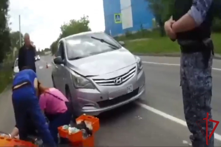 В Гатчине сотрудники Росгвардии пришли на помощь девушке-пешеходу, пострадавшей в результате ДТП