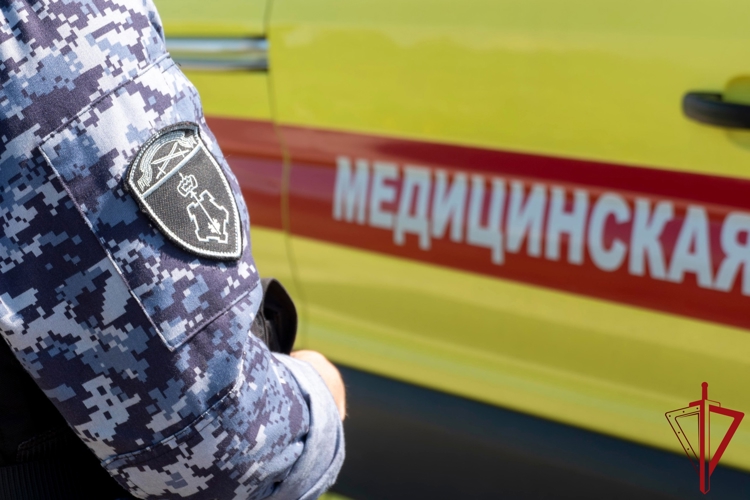 В Гатчине сотрудники Росгвардии пришли на помощь девушке-пешеходу, пострадавшей в результате ДТП