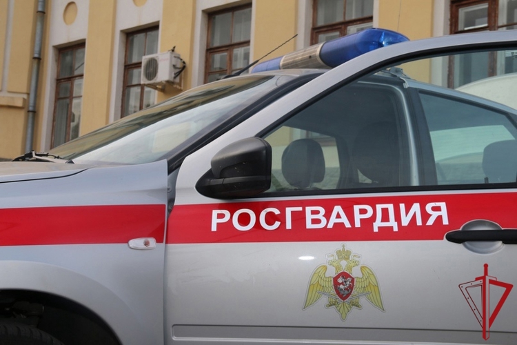 В Василеостровском районе сотрудники Росгвардии задержали гражданина, нанесшего телесные повреждения мужчине в фудхолле