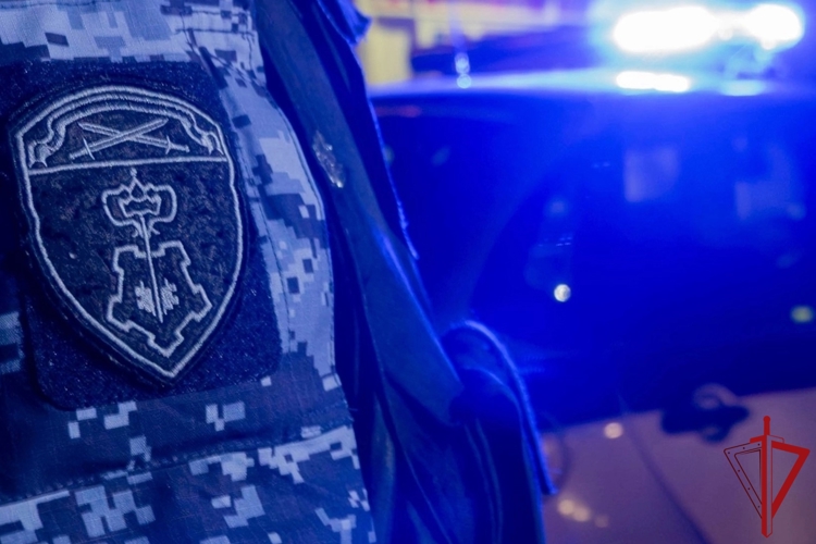 В Ленобласти сотрудники Росгвардии и полиции задержали правонарушителя, напавшего на своих пасынков