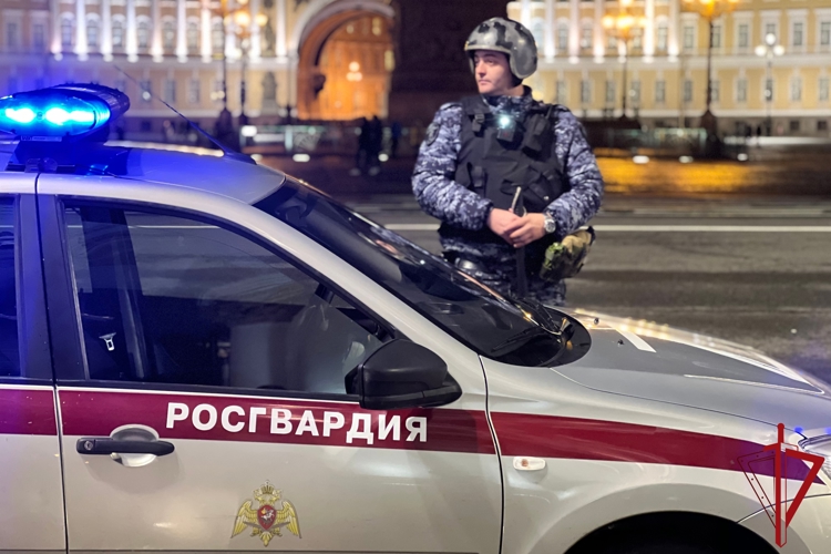 Сотрудники Росгвардии на территории Государственного Эрмитажа задержали неадекватного гражданина и передали его медикам