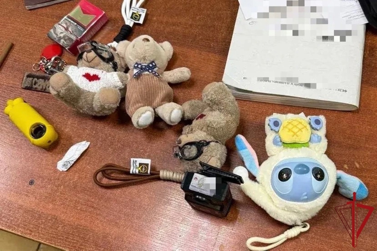 В Центральном районе сотрудники Росгвардии задержали правонарушителей, похитивших игрушки из игрового автомата