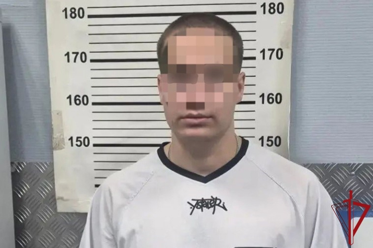 В Центральном районе росгвардейцы задержали вандала, рисовавшего граффити на памятнике архитектуры