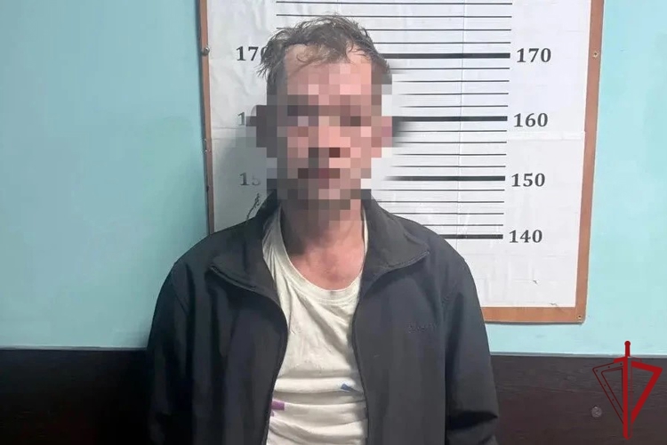 В Центральном районе наряд Росгвардии задержал вора-рецидивиста, укравшего сумку у посетителя фастфуда