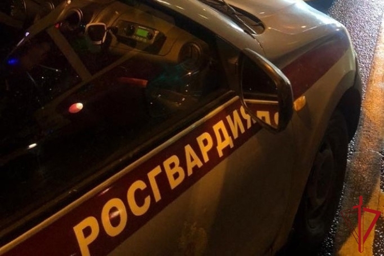 Сотрудники Росгвардии на Пушкинской улице задержали двух граждан, подозреваемых в попытке поджога одного из баров в центре города
