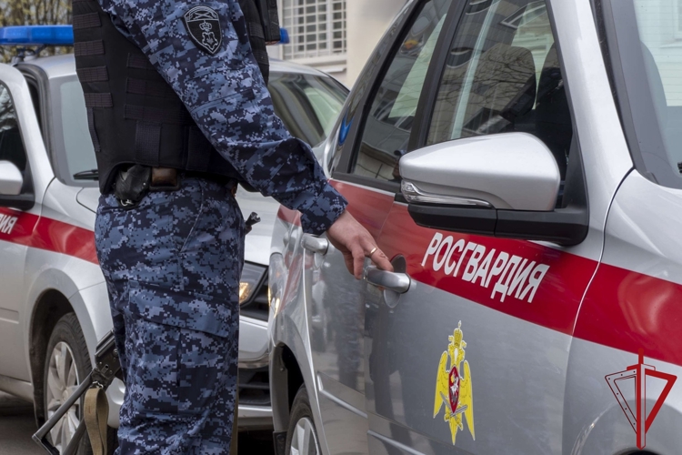 В Кировском районе росгвардейцы задержали правонарушителей, повредивших имущество ресторана и ограбивших работницу заведения  