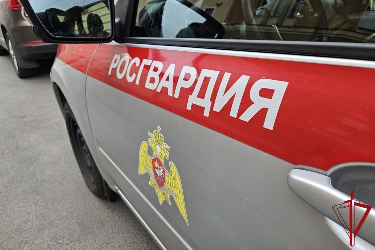 В Центральном районе росгвардейцы задержали вора и помогли вернуть похищенный велосипед законной владелице