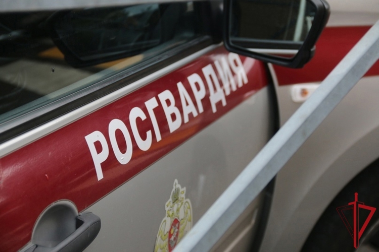 В Выборгском районе росгвардейцы задержали правонарушителя, пытавшегося убежать из магазина после неудавшейся кражи товара
