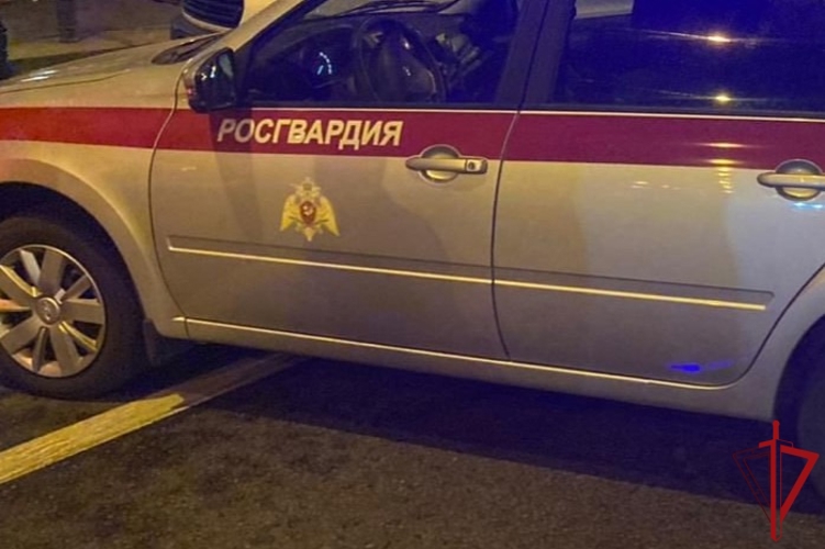 Сотрудники Росгвардии задержали хулиганов, угрожавших девушке «розочкой» в саду в центре Санкт-Петербурга