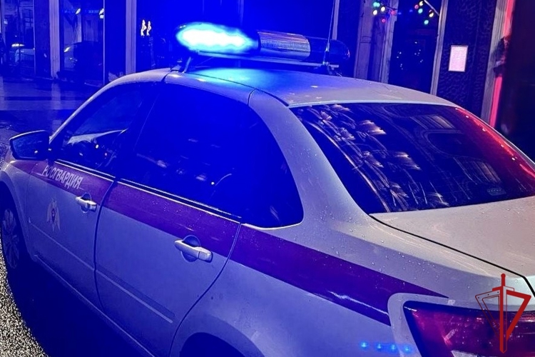 В Выборгском районе наряд Росгвардии задержал нетрезвого водителя, скрывшегося с места ДТП