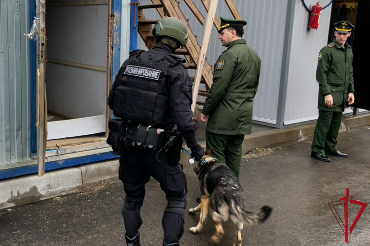 В Санкт-Петербурге сотрудники ОМОН Росгвардии оказали содействие военному следствию и военной полиции в проведении рейда