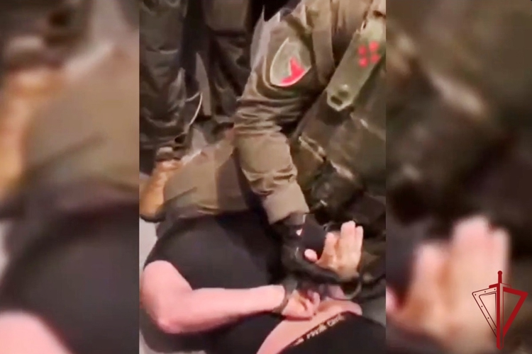 На Васильевском острове при содействии СОБР Росгвардии пресечена деятельность подпольной наркоплантации