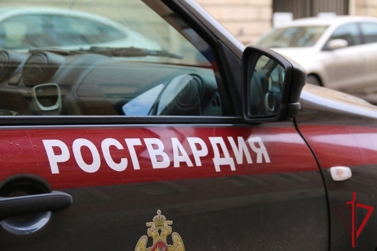В Центральном районе сотрудники Росгвардии задержали находившегося в розыске правонарушителя  