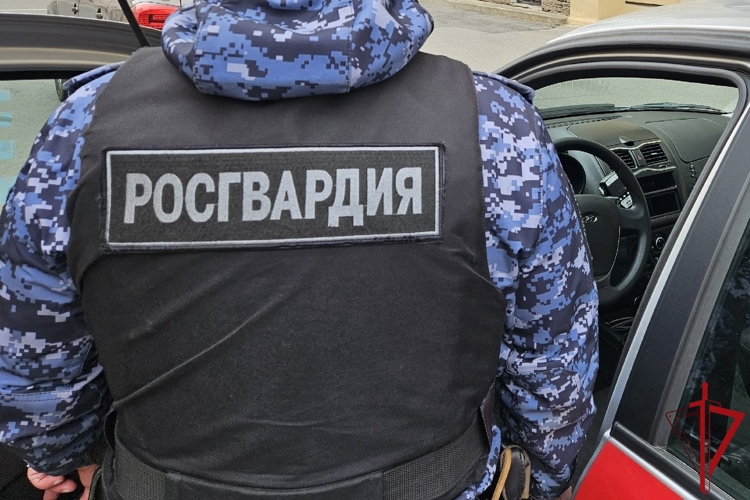 В Невском районе наряд Росгвардии задержал правонарушителей, разбивших бутылку об голову мужчины во дворе ЖК