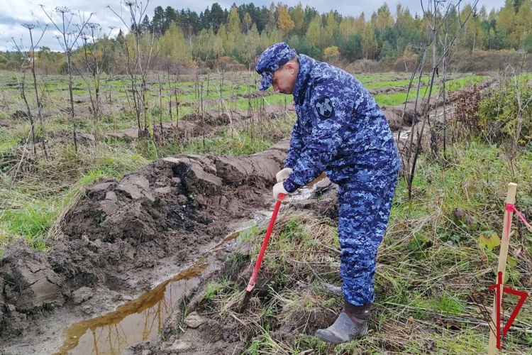 В Ленобласти представители Росгвардии приняли участие во Всероссийской экологической акции «Сохраним лес»